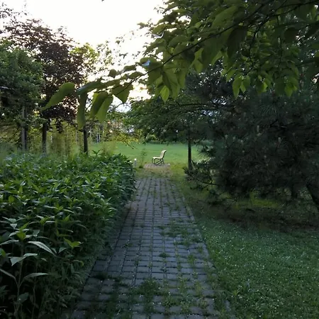 Rose Canine B&B-3